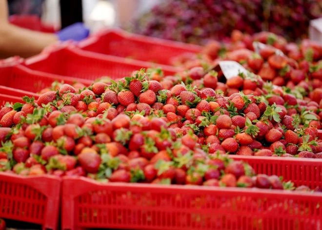 Svarīga ziņa tiem, kam garšo Latvijas zemenes!