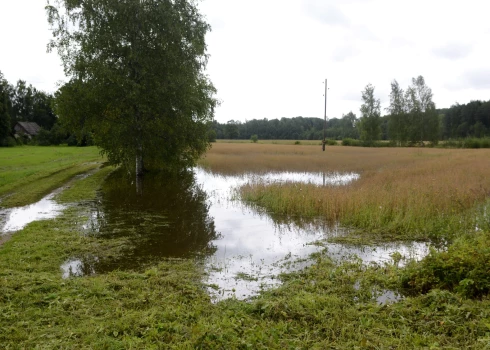Stipro lietusgāžu ūdeņu appludināta pļava Baltinavas novadā.