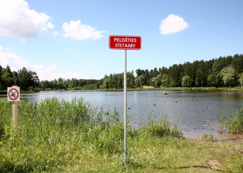 Бабелитис.