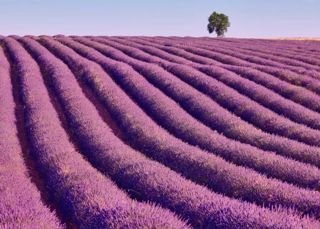 Коллапс в Испании: популярный у туристов город попросил не посещать его хотя бы в выходные