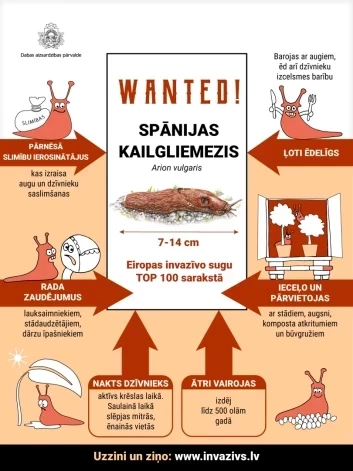 Если где увидели, сообщите куда следует!