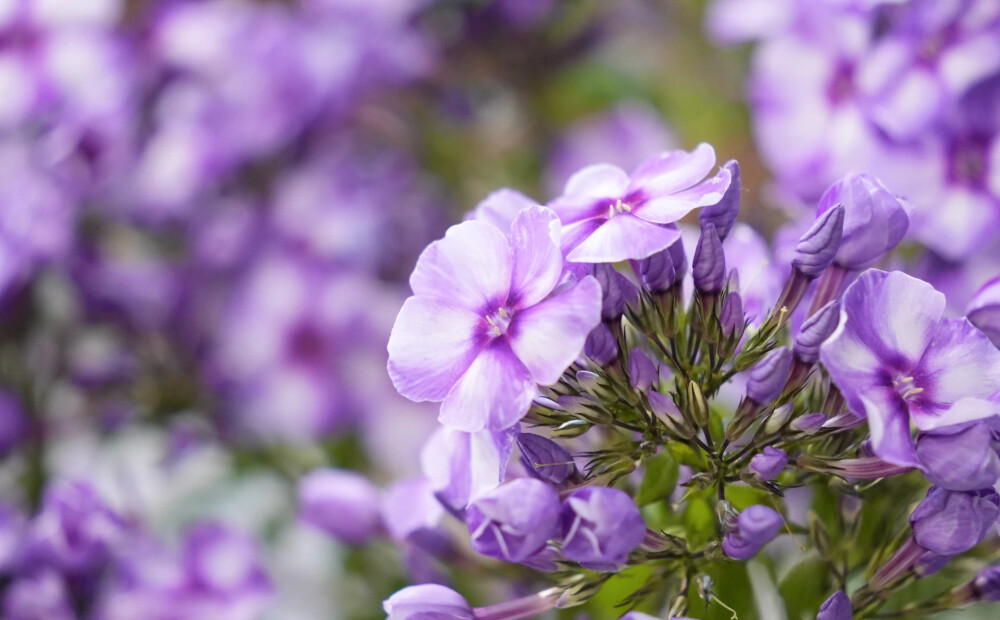 Svētdien Latvijā gaiss iesils līdz +28 grādiem