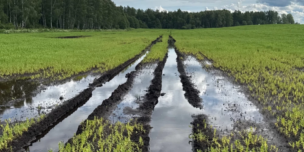 Kā norāda ministrija, pēc Latvijas Vides, ģeoloģijas un meteoroloģijas centra (LVMĢC) datiem, 2025.gada maijā un jūnijā nokrišņu daudzums ievērojami pārsniedza mēneša normu, applūdinot lauksaimniecības zemes valsts vidienē un austrumu daļā.