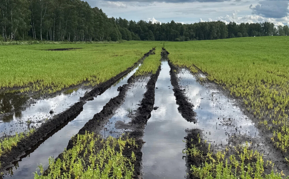 Zemkopības ministrija rosina visā Latvijas teritorijā izsludināt ārkārtējo situāciju lauksaimniecībā
