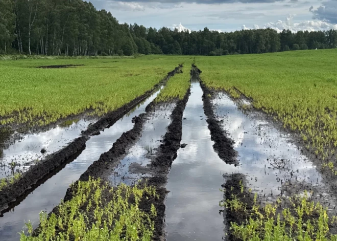 Zemkopības ministrija rosina visā Latvijas teritorijā izsludināt ārkārtējo situāciju lauksaimniecībā
