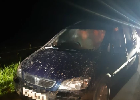 Piektdien, 1. augustā, par nelikumīgi valsts robežu šķērsojušu personu pārvadāšanu robežsargi Krāslavas novadā aizturēja Latvijas pilsoni.
