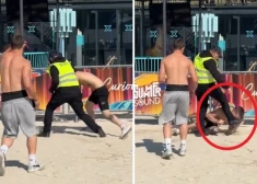 ВИДЕО: на фестивале Summer Sound охранник ударил посетителя ногой по лицу