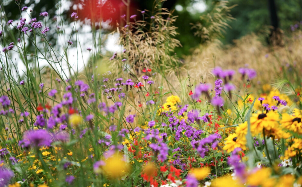 Otrdiena būs visai mākoņaina un vējaina