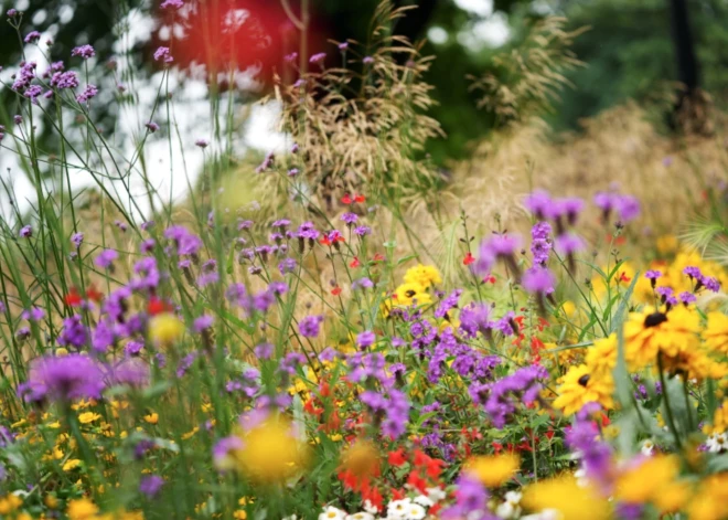 Otrdiena būs visai mākoņaina un vējaina