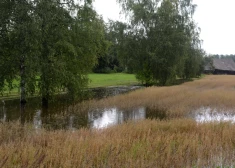 VARAM aicina ZM pamatot nepieciešamību ārkārtējo situāciju lauksaimniecībā izsludināt visā Latvijas teritorijā