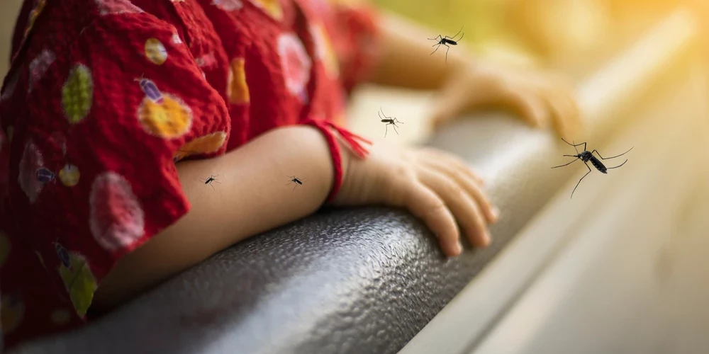 Rietumnīlas drudzis ir akūta vīrusu infekcija, kuras pārnesēji ir odi.