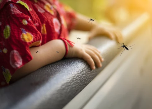 Rietumnīlas drudzis ir akūta vīrusu infekcija, kuras pārnesēji ir odi. 
