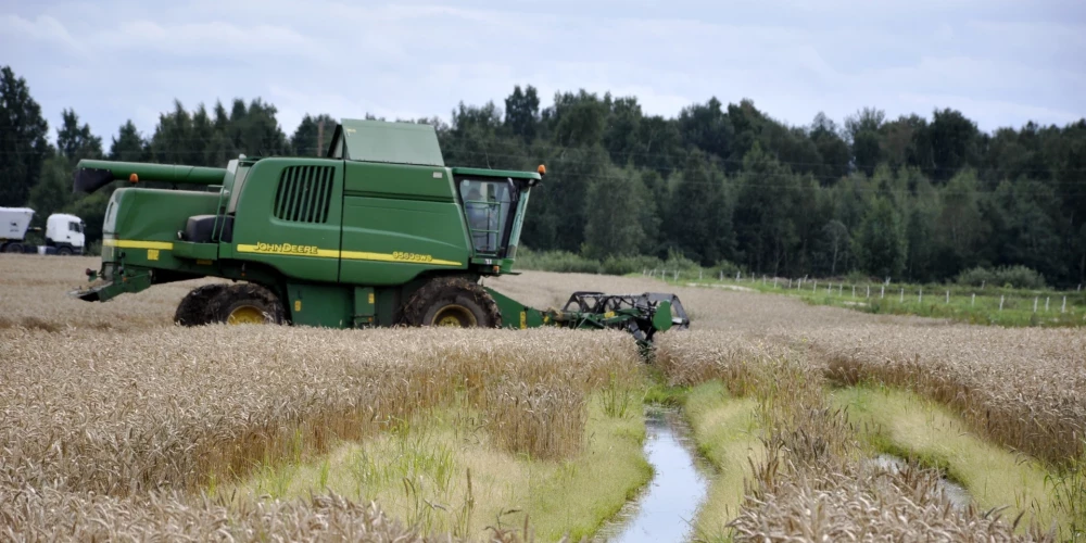 Иллюстративное фото.