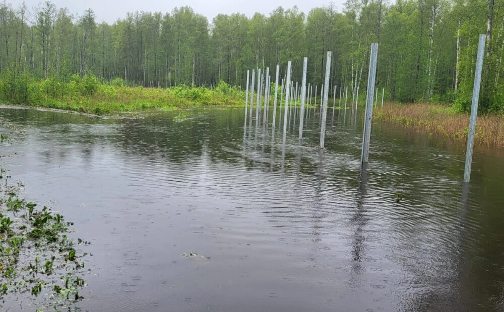 Austrumu robežas izbūvi kavē nokrišņu rekordi – vietām piekļūt nav iespējams