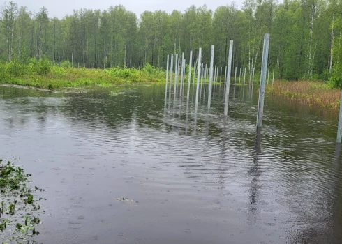 Dramatiski laikapstākļi kavē robežas izbūvi uz Latvijas austrumu robežas.