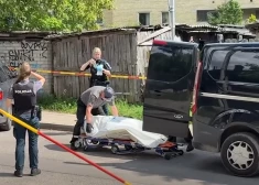 Lietuvu šokē 15 gadus veca pusaudža zvēriska slepkavība un viņa vienaudža arests. Vēl briesmīgāki ir notikušā apstākļi