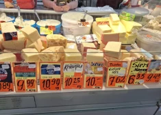 ФОТО: сколько стоит самый дорогой сыр на Центральном рынке Риги? Смотрим цены в Молочном павильоне