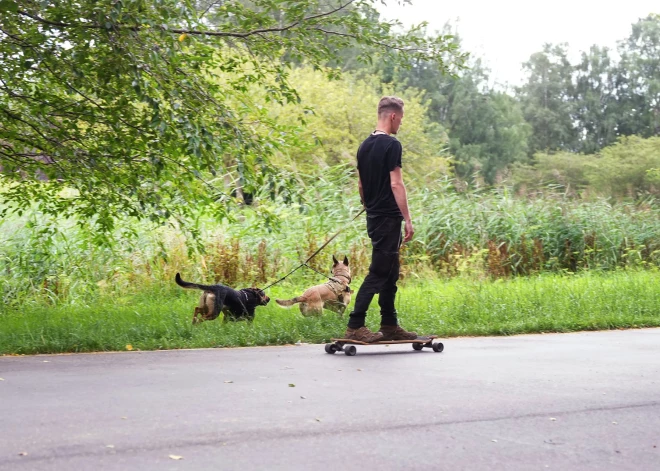 Uzvaras parks ieguvis pavisam citu izskatu – atjaunoti celiņi un izvietoti soliņi