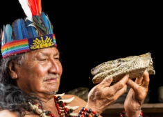 Labākajā gadījumā caureja un citplanētiešu halucinācijas, sliktākajā - nāve: jaunietis muļķīgi riskē ar dzīvību šamaņu tējas "ajavaskas" dēļ