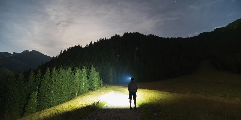 Где ты спрятался, гад?