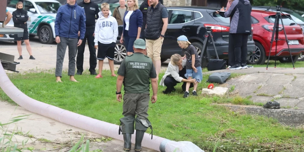 Zivis tika piegādātas no Pārtikas drošības, dzīvnieku veselības un vides zinātniskā institūta "BIOR" zivju audzētavas "Tome". 