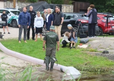 FOTO; VIDEO: Ķīšezerā šodien "ievākušies" 22 900 jauni iemītnieki: speciālisti tur ielaiduši jaunus zandartu mazuļus