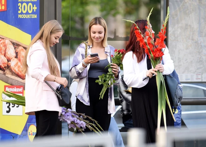 Kur pazūd skolas? 15 gadu laikā Latvija zaudējusi 315 mācību iestādes