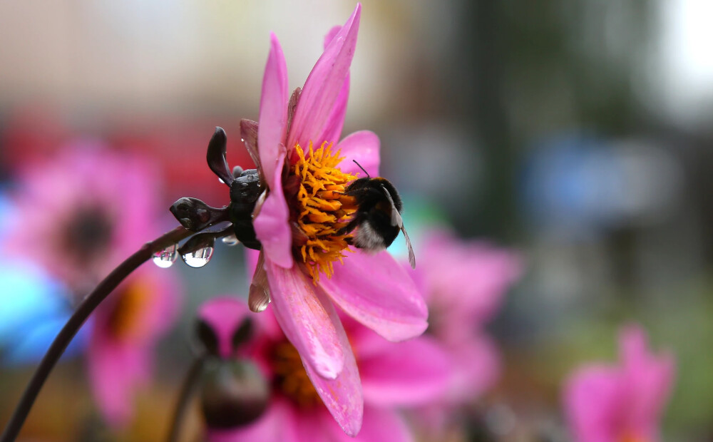 Nedēļa daudzviet noslēgsies ar lietu