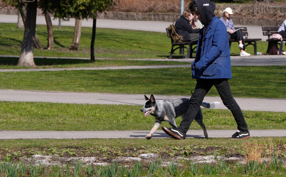 Nedēļa sāksies ar siltumu un īslaicīgu lietu