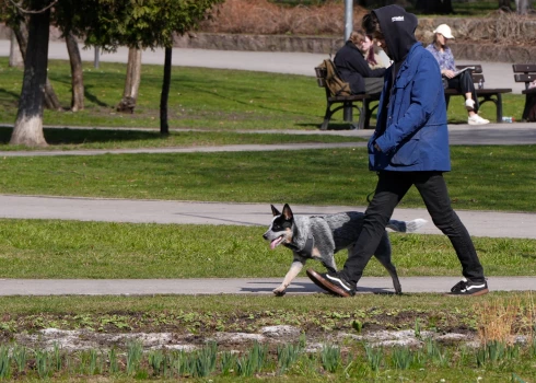 Nedēļa sāksies ar siltumu un īslaicīgu lietu. 