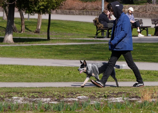 Nedēļa sāksies ar siltumu un īslaicīgu lietu