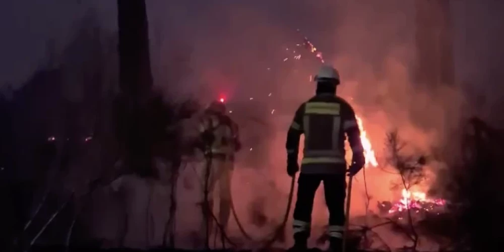 Kadrs no video./Meža ugunsgrēki Portugālē.