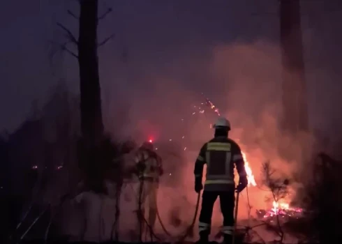 Kadrs no video./Meža ugunsgrēki Portugālē.