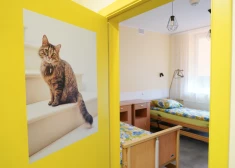 Коренные изменения: в Латвии приступают к строительству пансионатов для пожилых совершенно нового типа