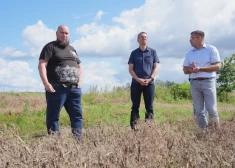 FOTO: Valsts prezidents apmeklē lietavu skartās saimniecības Latgalē un Vidzemē