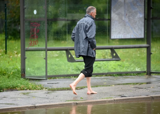 Atis Švinka: valsts uzdevums ir nodrošināt iedzīvotāju mobilitāti visā valsts teritorijā