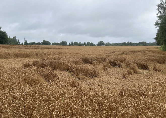 От +7,2 до +29,5: температурные контрасты начала августа в Латвии