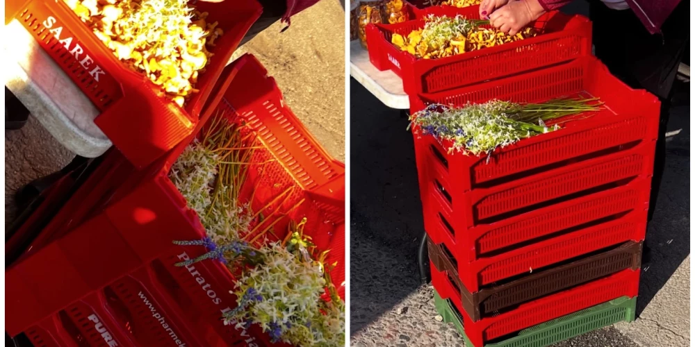 Iedzīvotāji pamanījusi, ka Centrāltirgus nakts tirgū tiek pārdotas smaržīgās naktsvijoles.