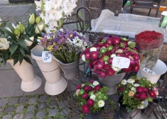 FOTO: no asterēm līdz krāšņiem pušķiem – cik šobrīd maksā ziedi Vecrīgā?