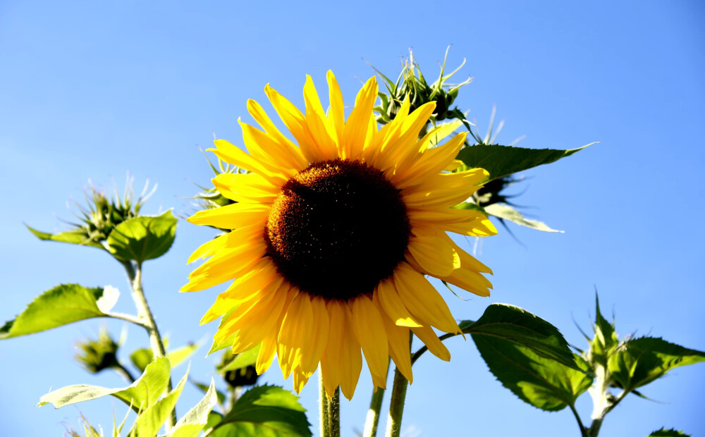 Trešdien Latvijā būs pārsvarā sauss laiks