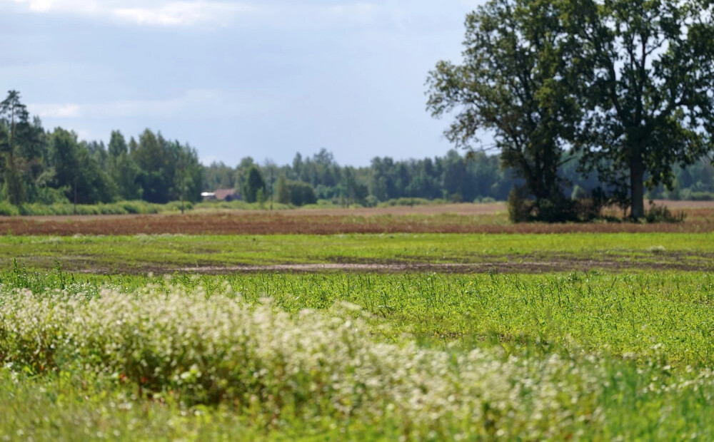 Trešdien gaisa temperatūra pakāpsies līdz +25 grādiem