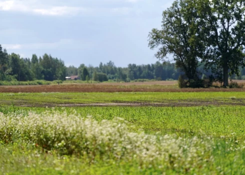 Trešdien gaisa temperatūra pakāpsies līdz +25 grādiem.