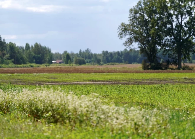 Trešdien gaisa temperatūra pakāpsies līdz +25 grādiem