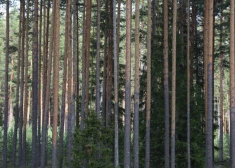 Laika prognoze nedēļas nogalei