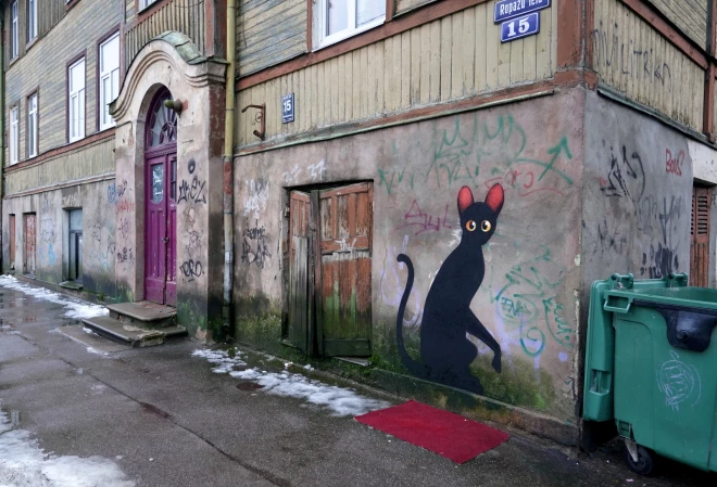 Kiwie uzzīmēja Kaķi.