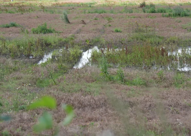 "Zemnieku saeima" aicina novirzīt valsts līdzekļus lietavu bojātās infrastruktūras atjaunošanai