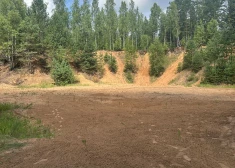VIDEO: Neapzinīgi motobraucēji posta mežu