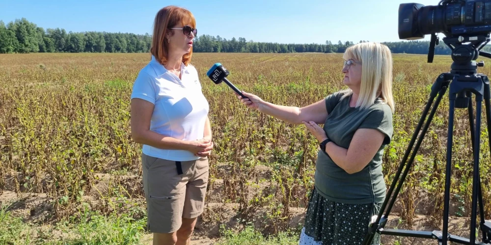 Zemnieku saeimas” valdes priekšsēdētaja vietniece Maira Dzelzkalēja-Burmistre akcentē, ka šogad pieredzēto problēmu sekas izjutīs ne tikai saimniecības, bet arī vairākas citas nozares un Latvijas ekonomika kopumā. 