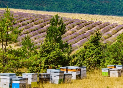 Izmaiņas, kuras skars daudzus. (Foto: Shutterstock)