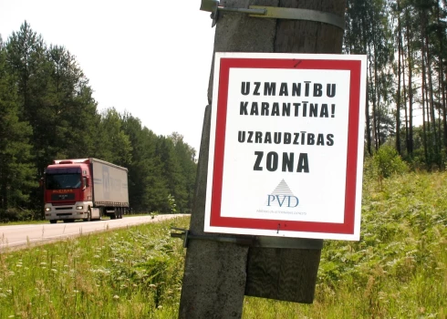  В хозяйствах, где выявлена АЧС, все поголовье подлежит уничтожению.